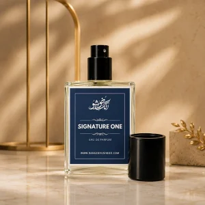Signature One 30ml men's perfume bottle by Rang-e-Khushboo